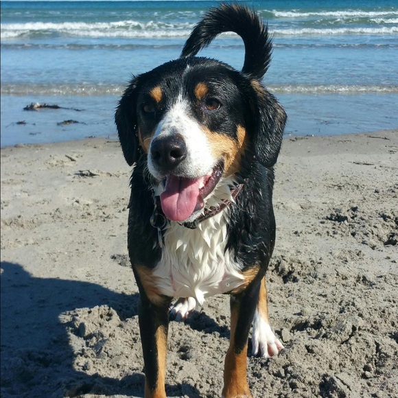 Meet your Posher, Christie - Picture 3 of 8